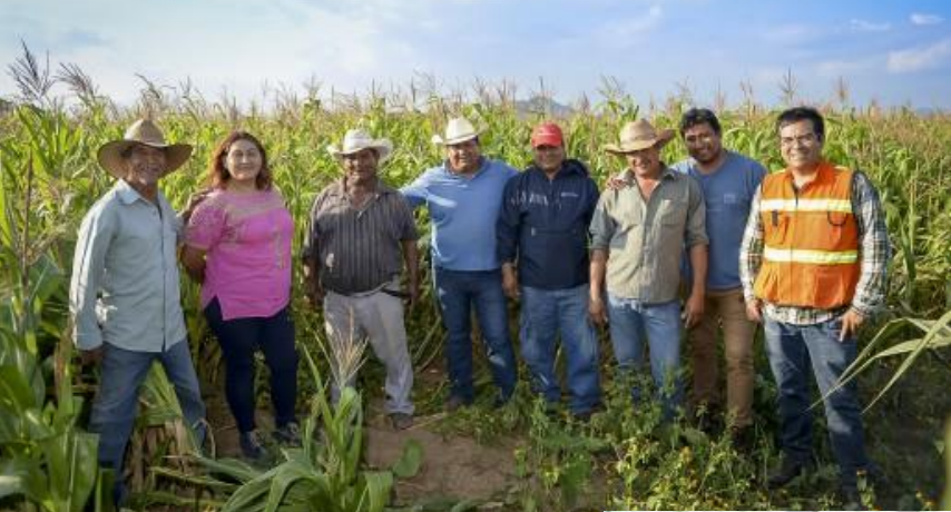 Apoyo a Productores ganaderos y agricolas